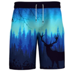 Sublimation Shorts